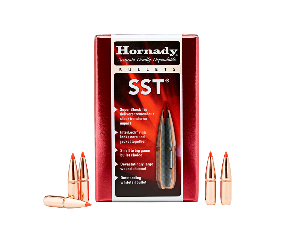 (image for) Hornady 6mm 95gr SST 100ct